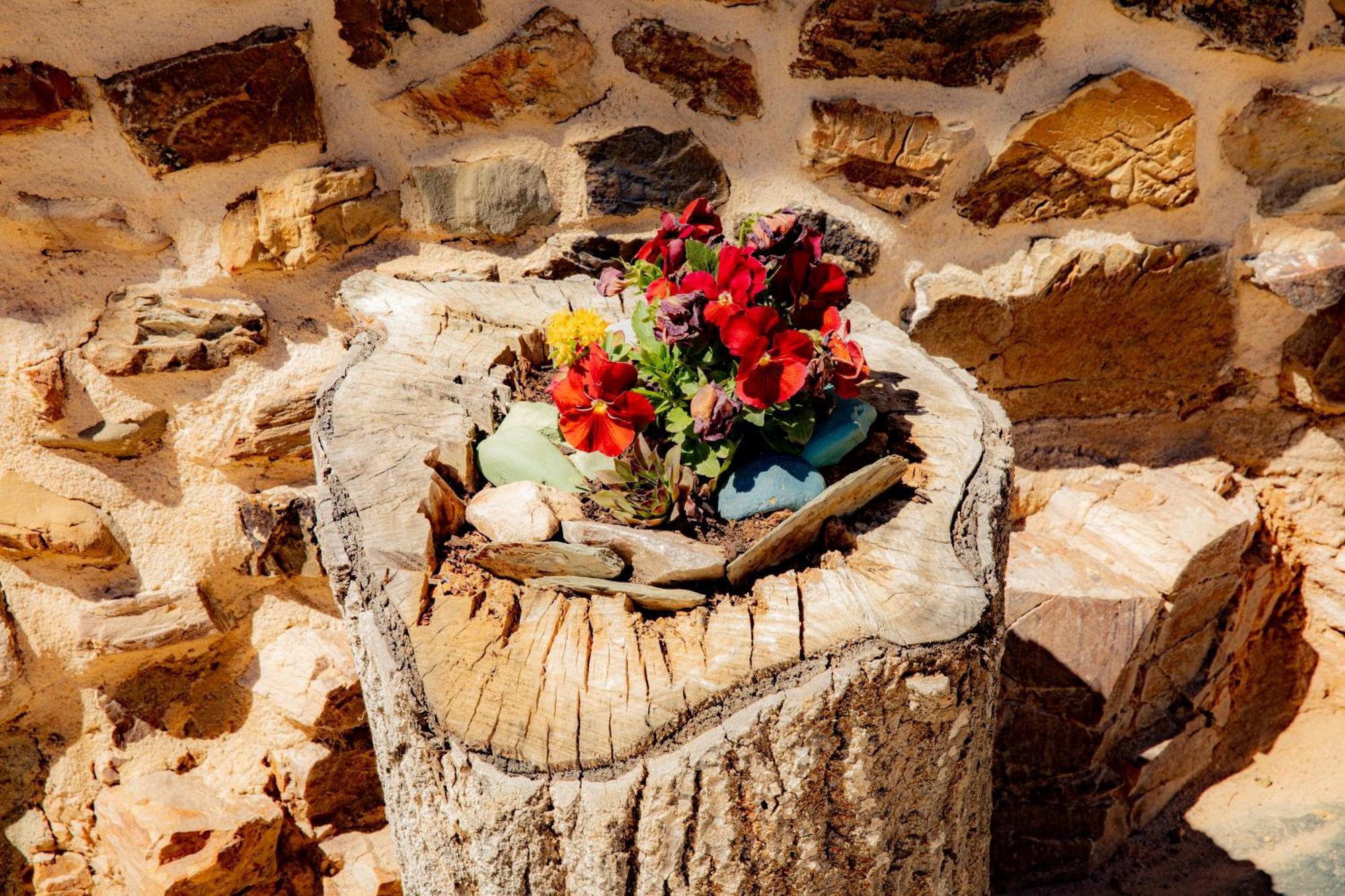 Via Avis Guest House Santa Catalina de Somoza Екстериор снимка